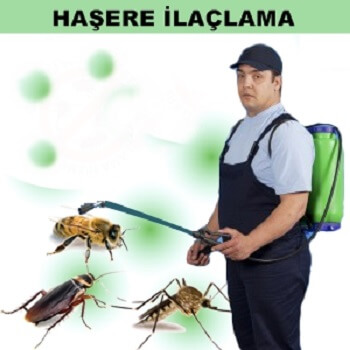 Kemah Böcek İlaçlama